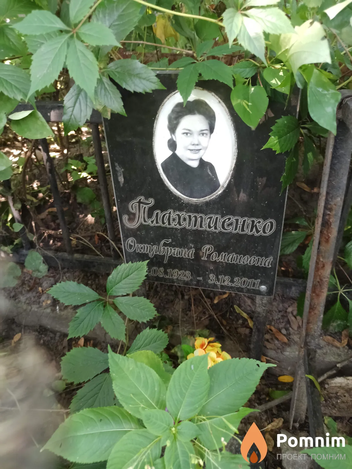 Плахтиенко Октябрина Романовна