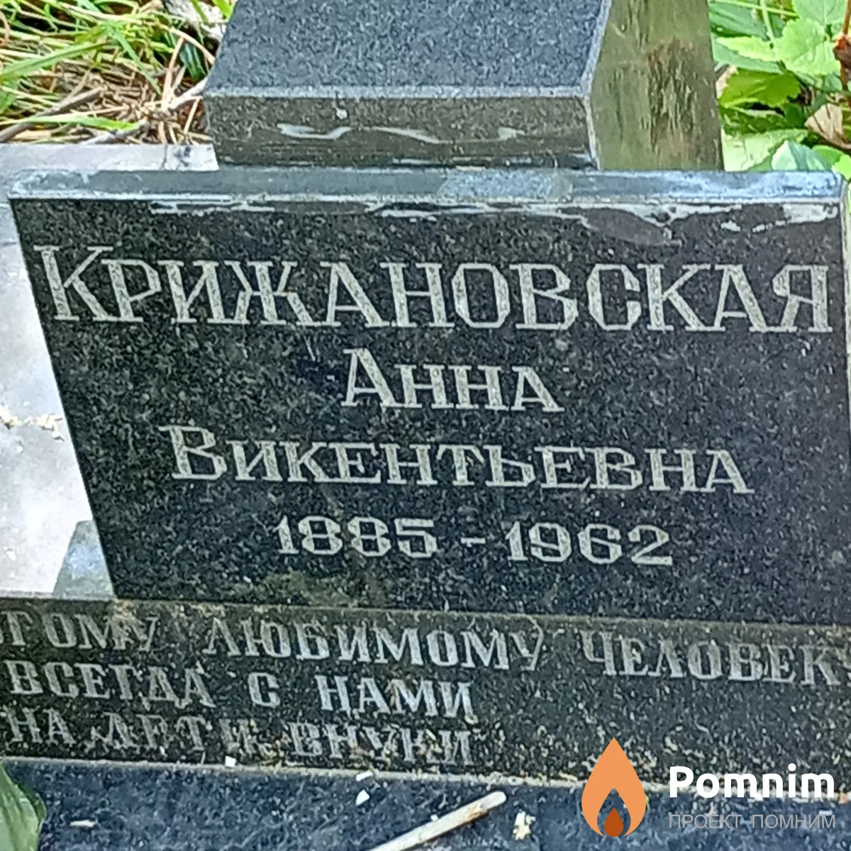 Крижановская Анна Викентьевна