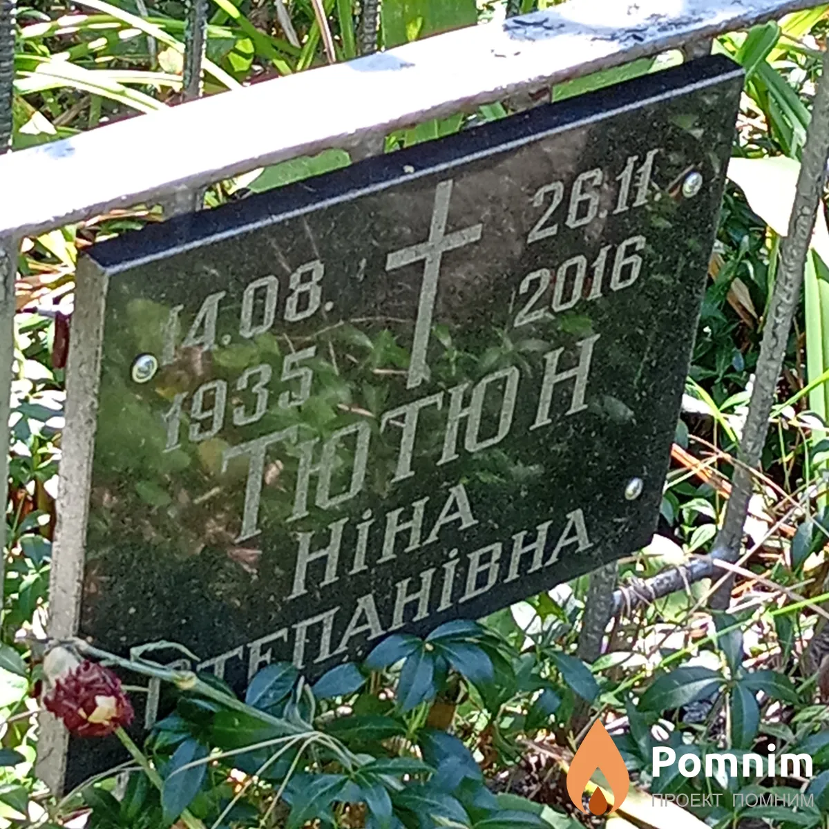 Тютюн Нина Степановна