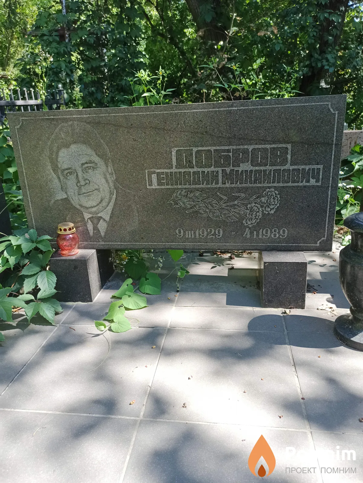 Добров Геннадий Михайлович