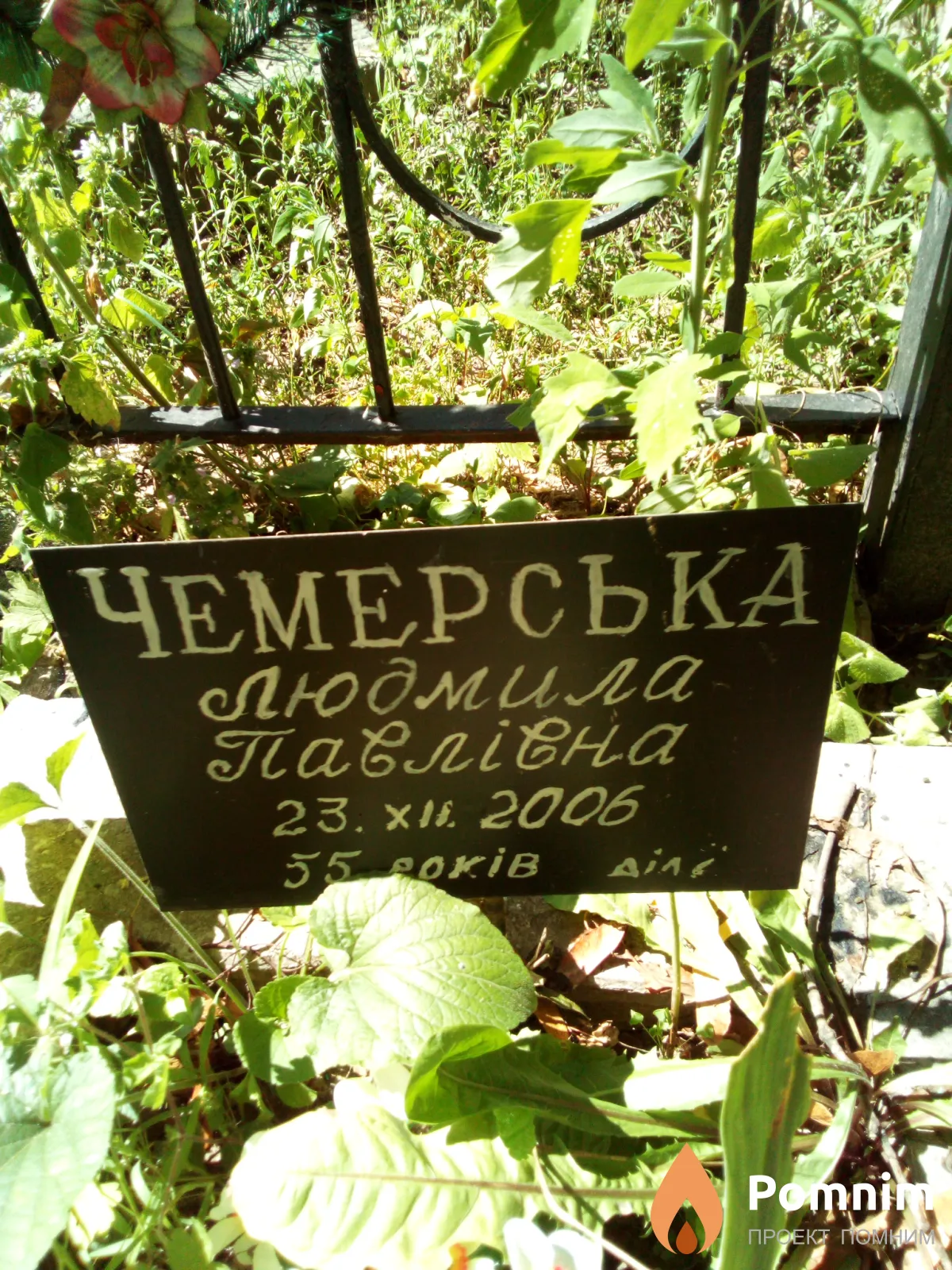 Чемерська Людмила Павлівна