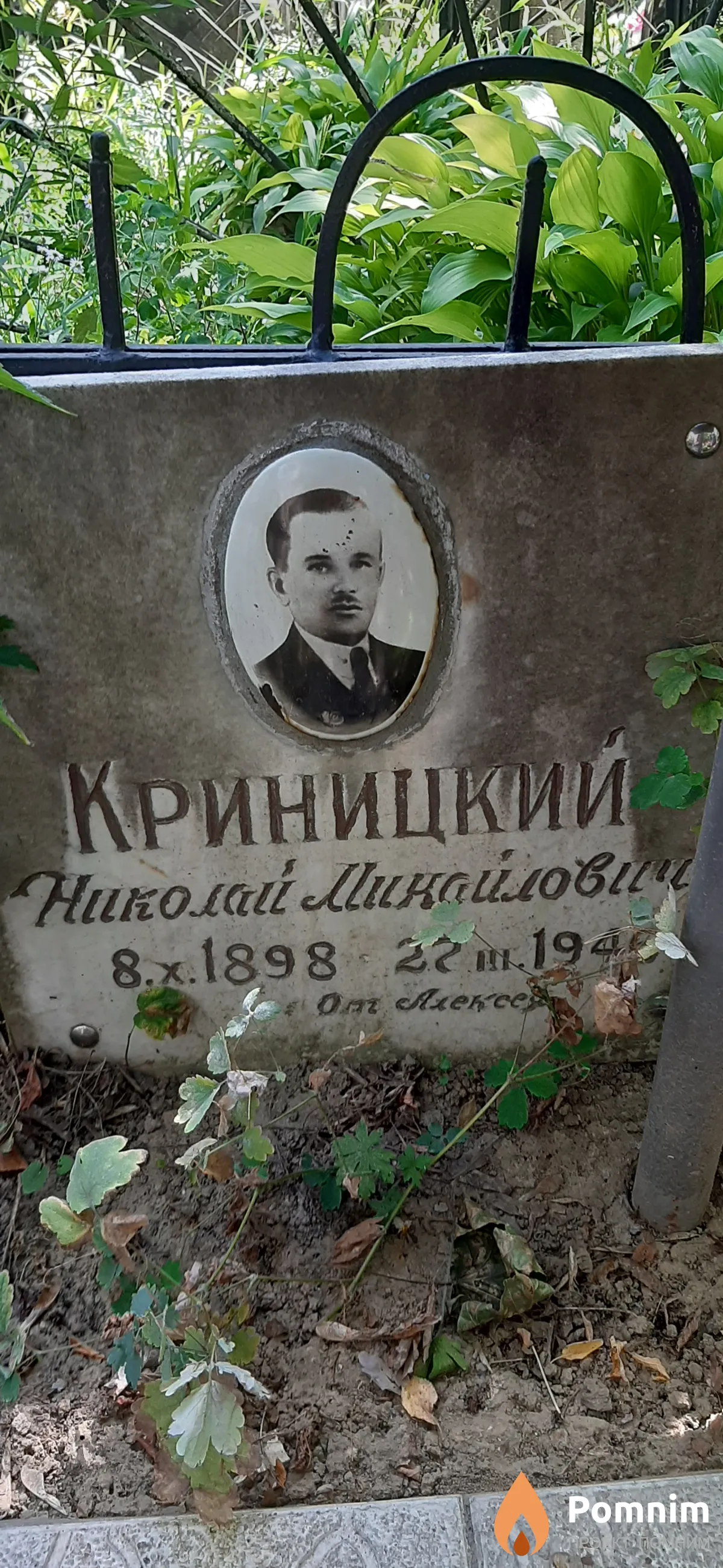 Криницкий Николай Михайлович
