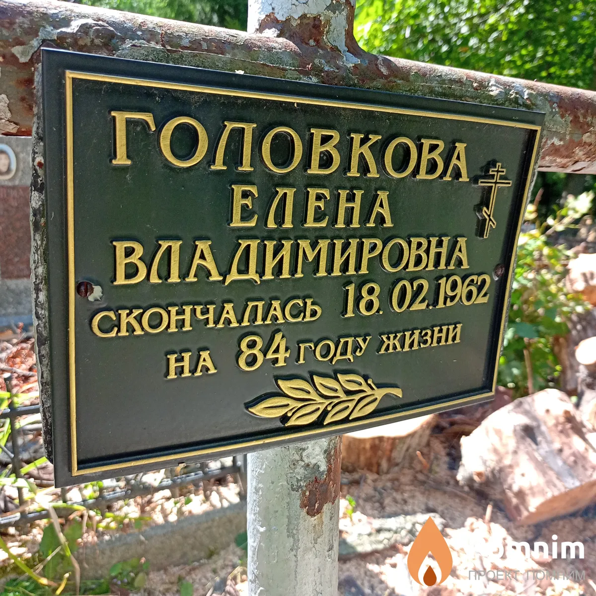 Головкова Елена Владимировна