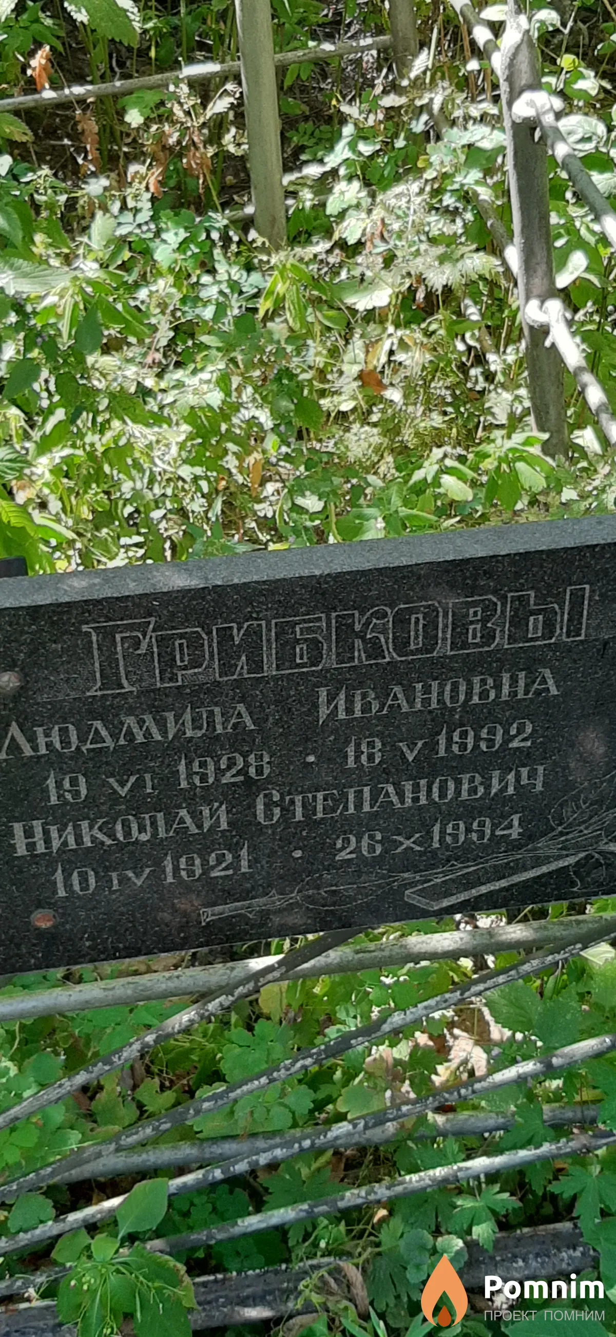 Грибков Николай Степанович