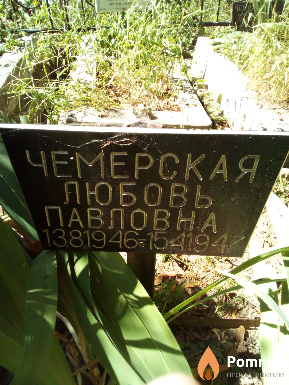 Чемерская Любовь Павловна