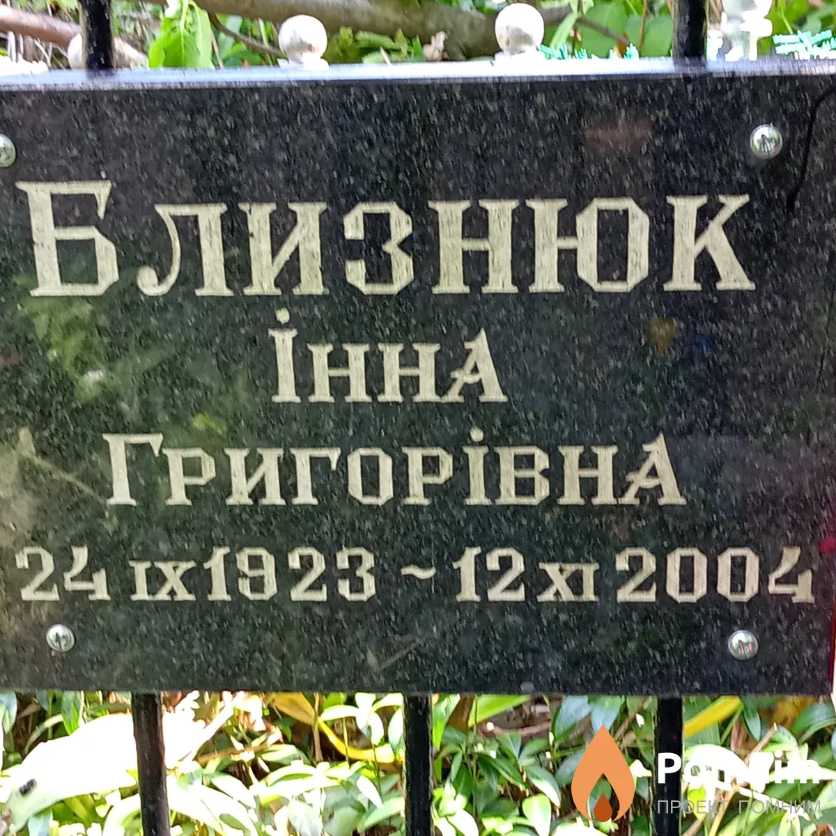 Близнюк Інна Григорівна