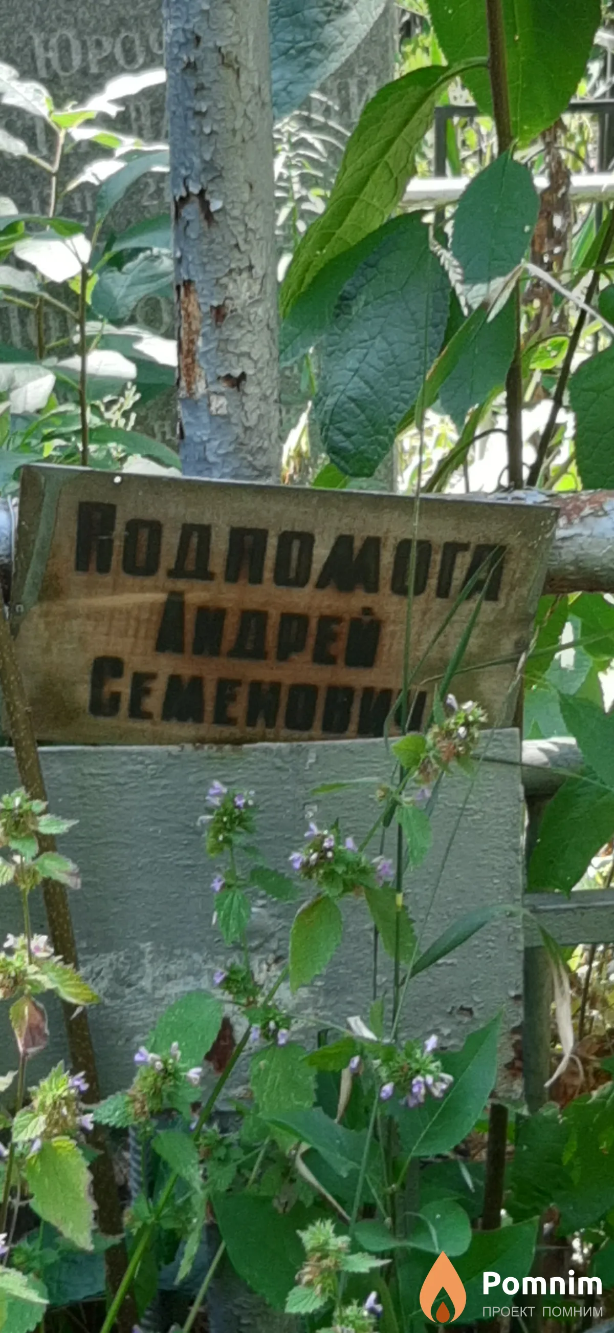 Подпомога Андрей Семенович