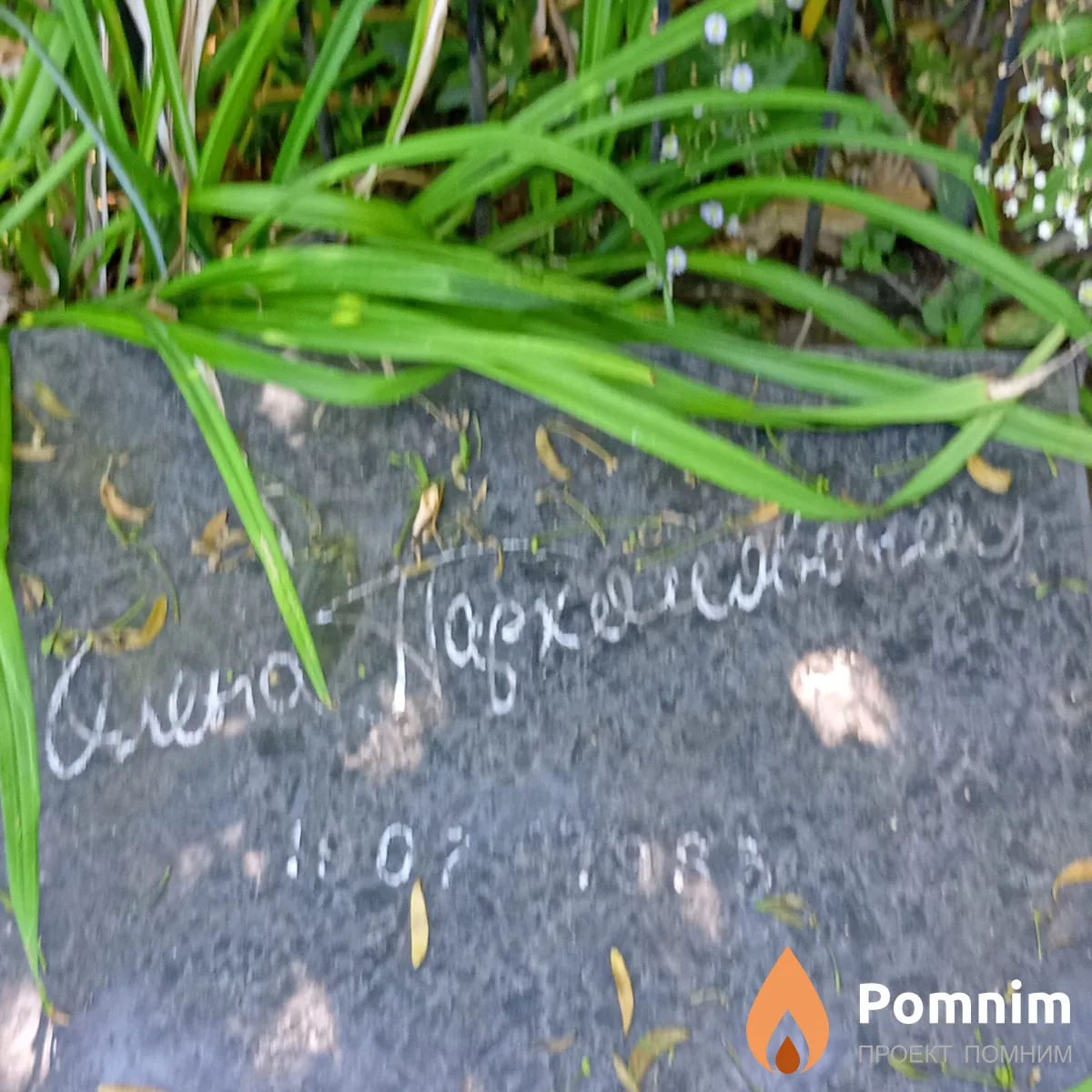 Пархомовская Елена