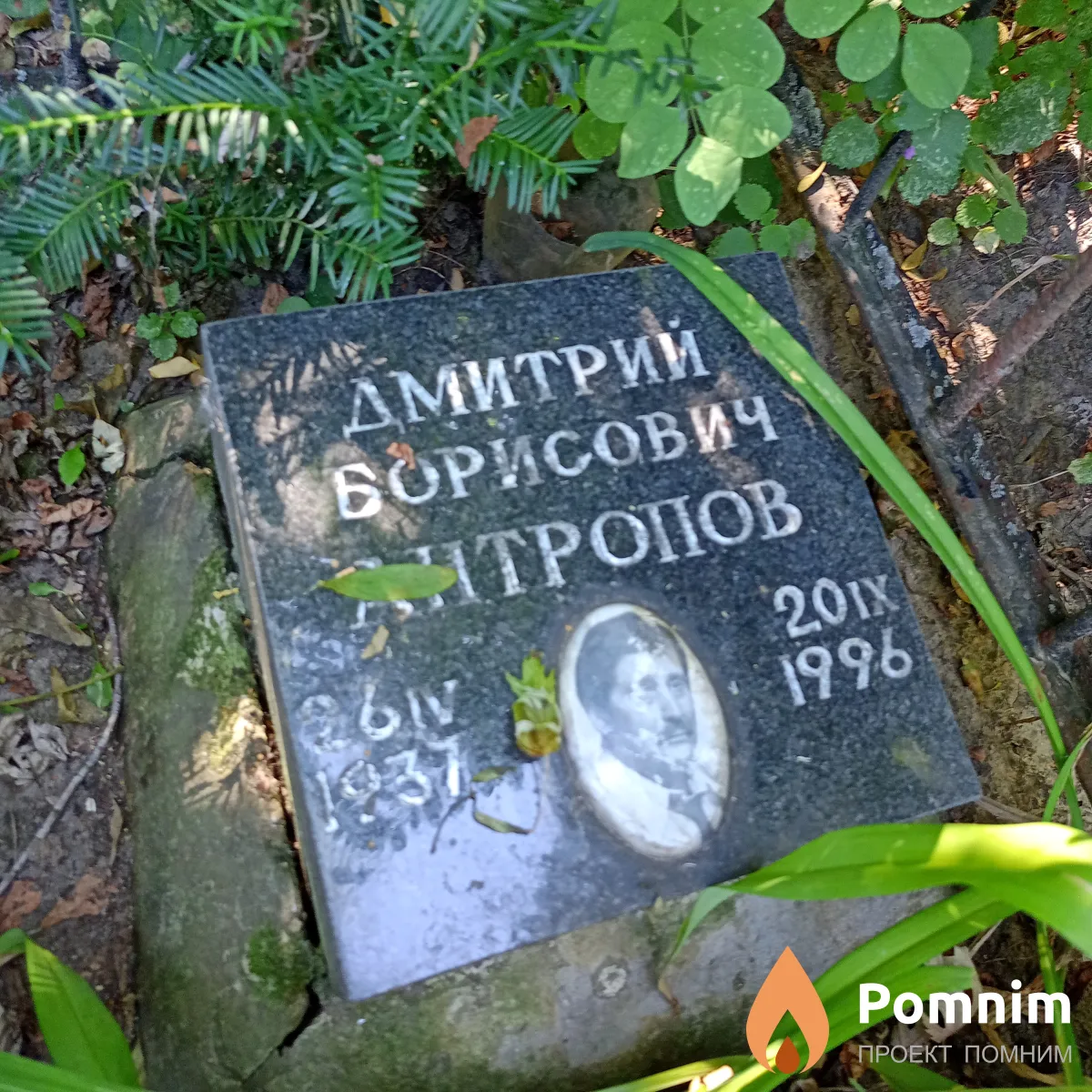 Антропов Дмитрий Борисович