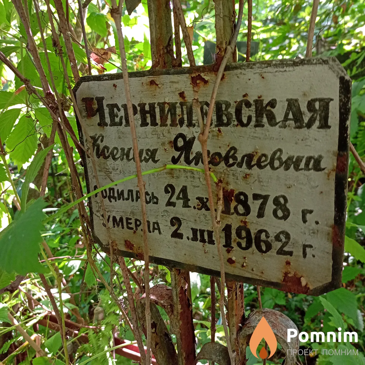 Чернилевская Ксения Яковлевна
