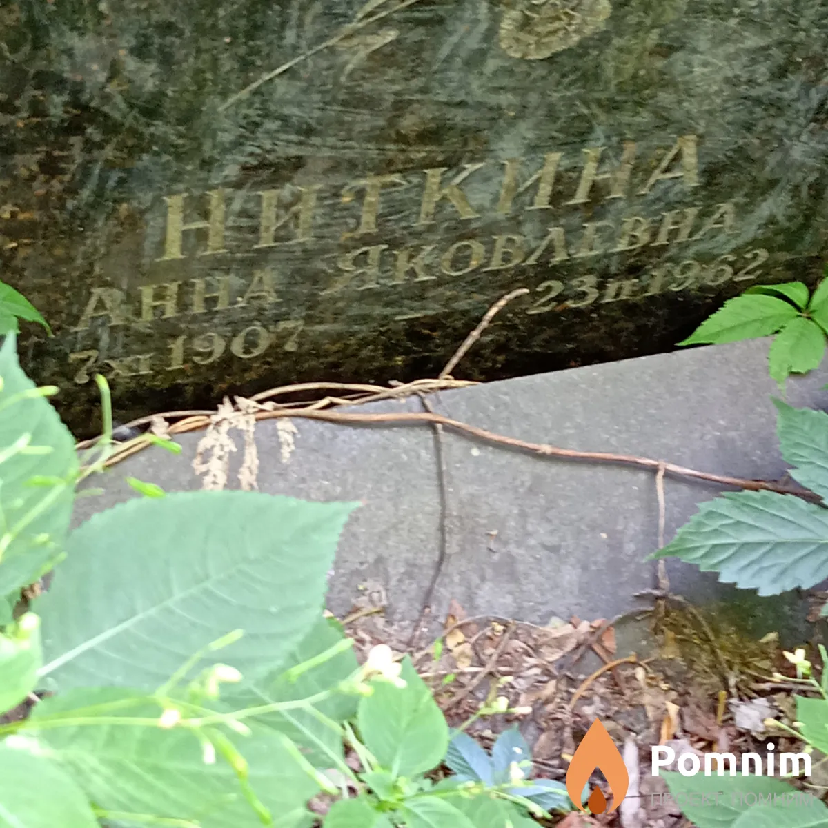 Ниткина Анна Яковлевна