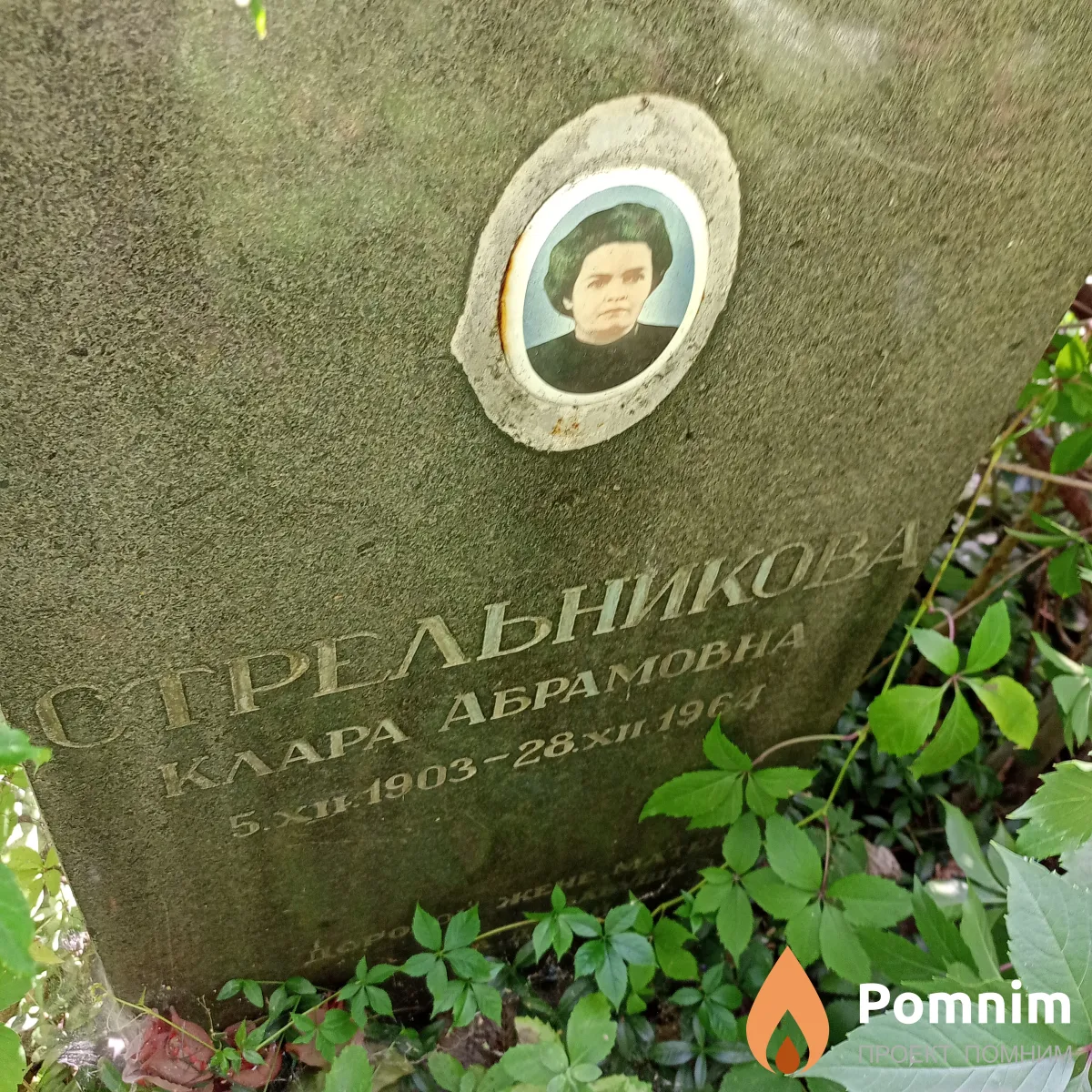 Стрельникова Клара Абрамовна