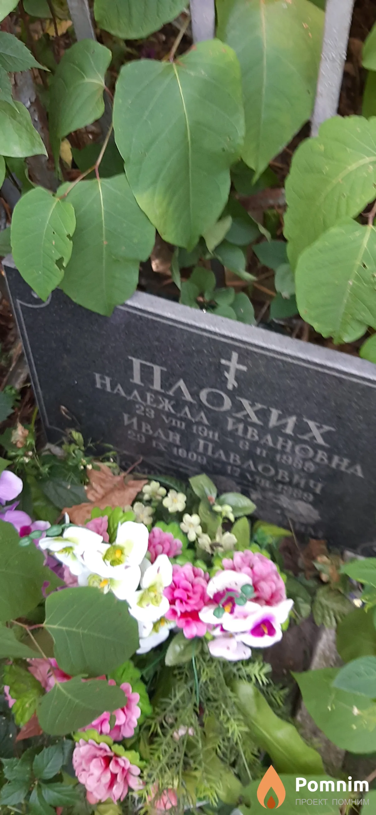 Плохих Надежда Ивановна