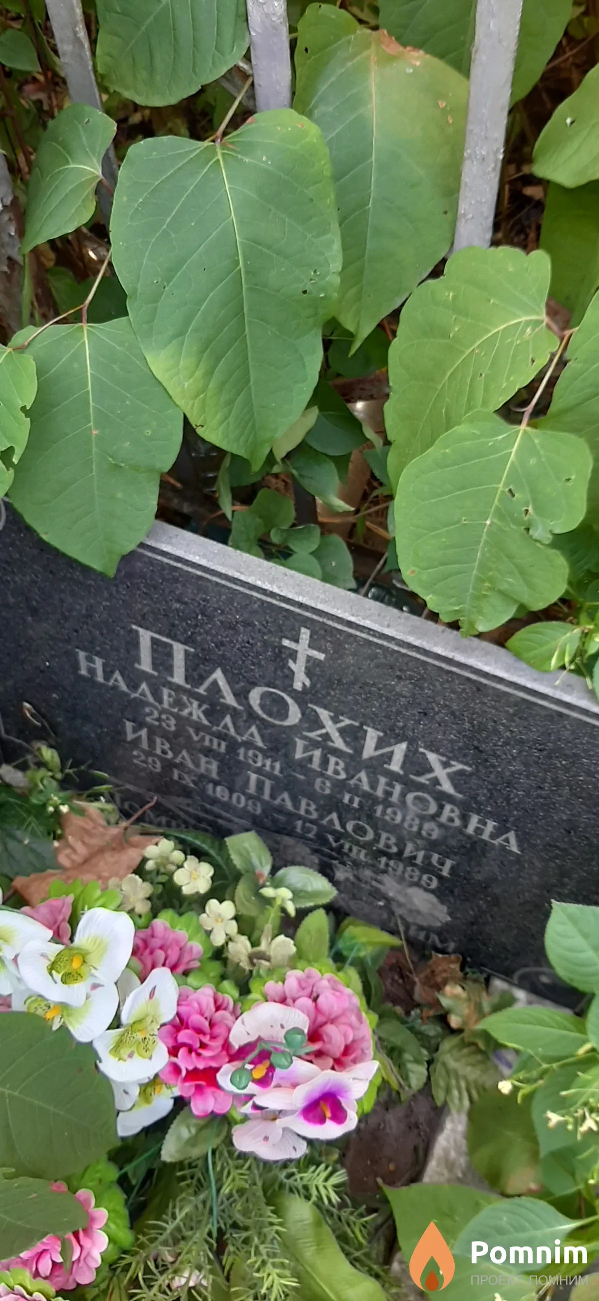 Плохих Иван Павлович