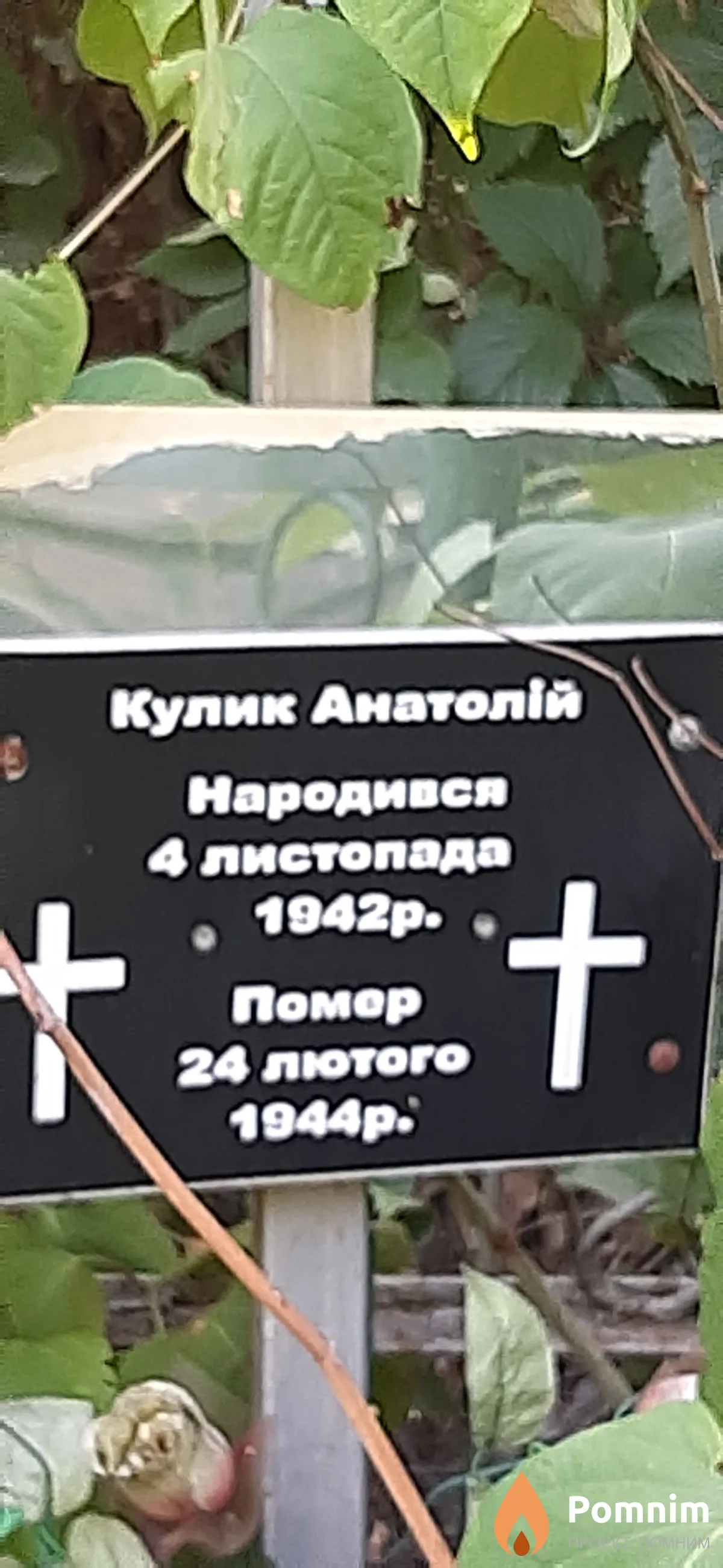 Кулик Анатолий