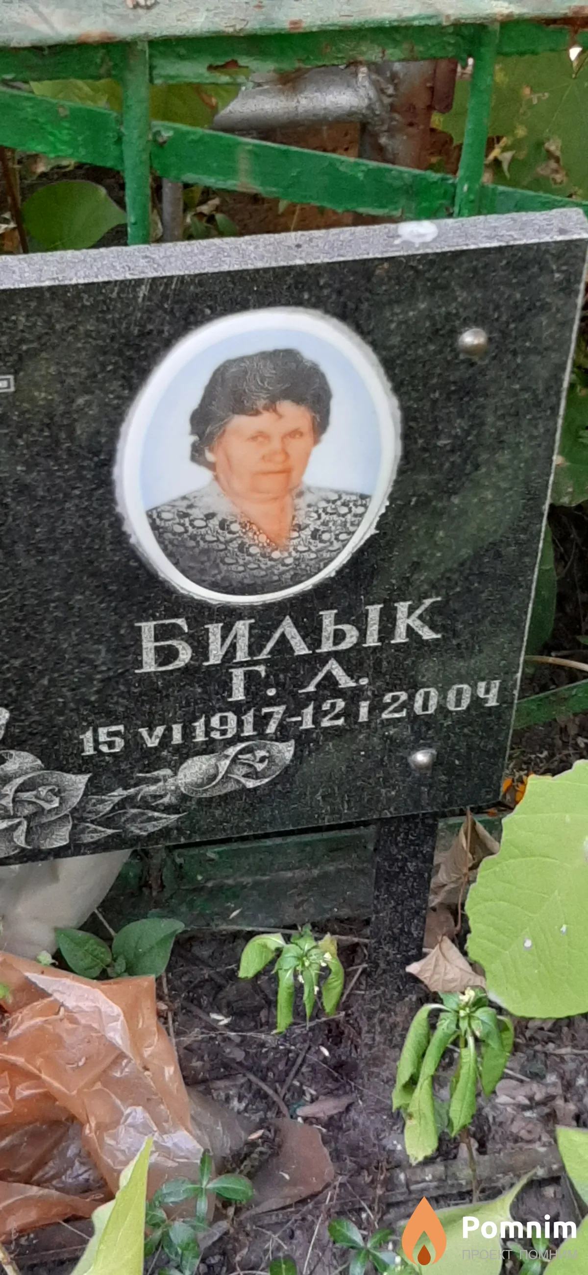 Билык Г. А.