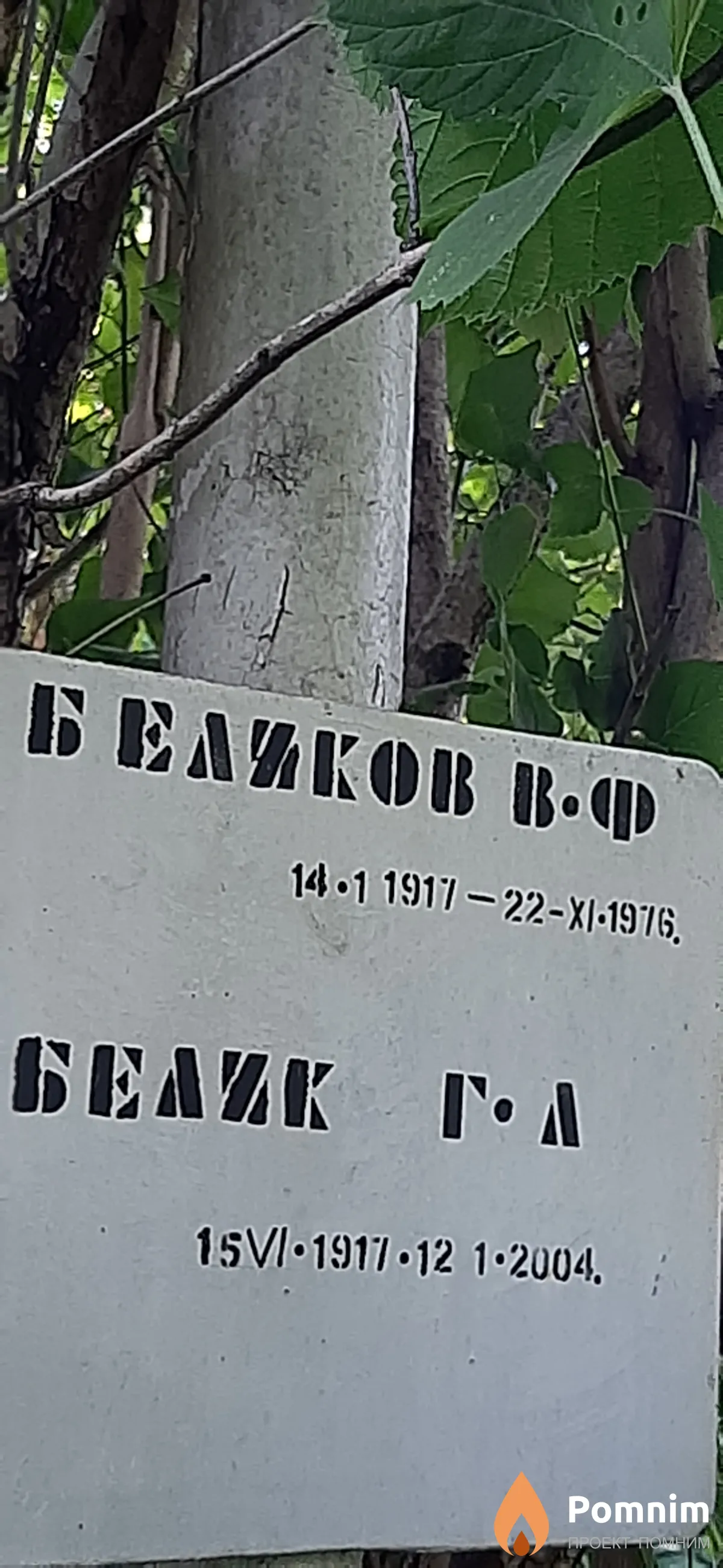 Беляков В. Ф.