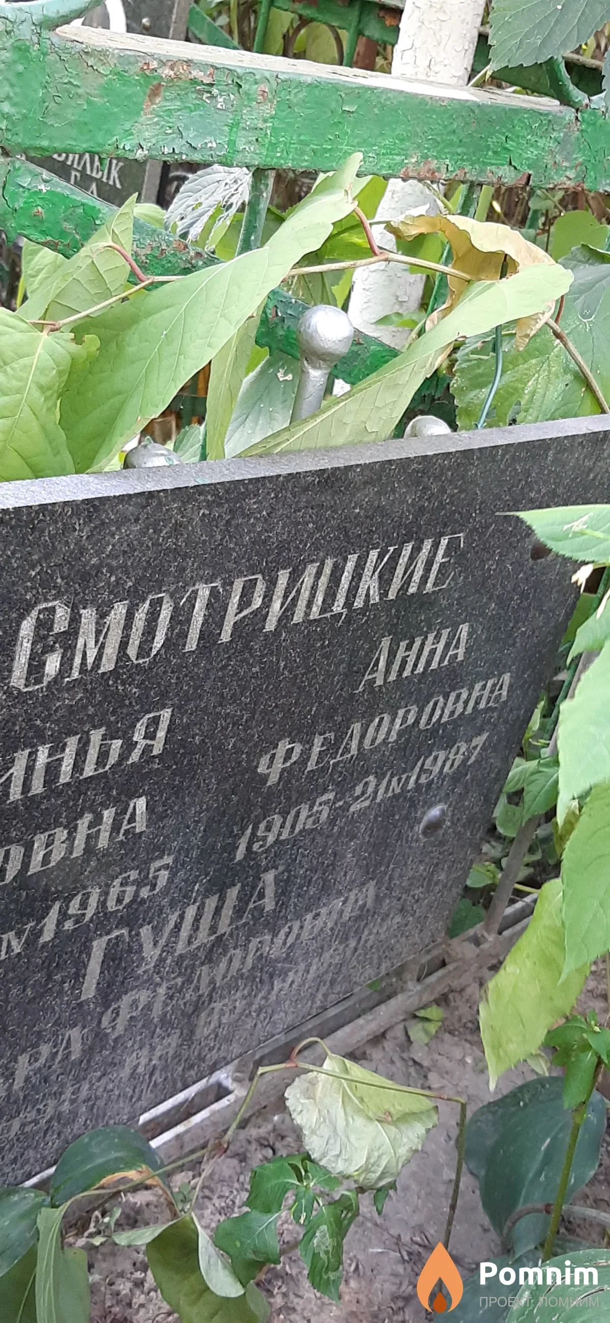 Смотрицкая Анна Федоровна