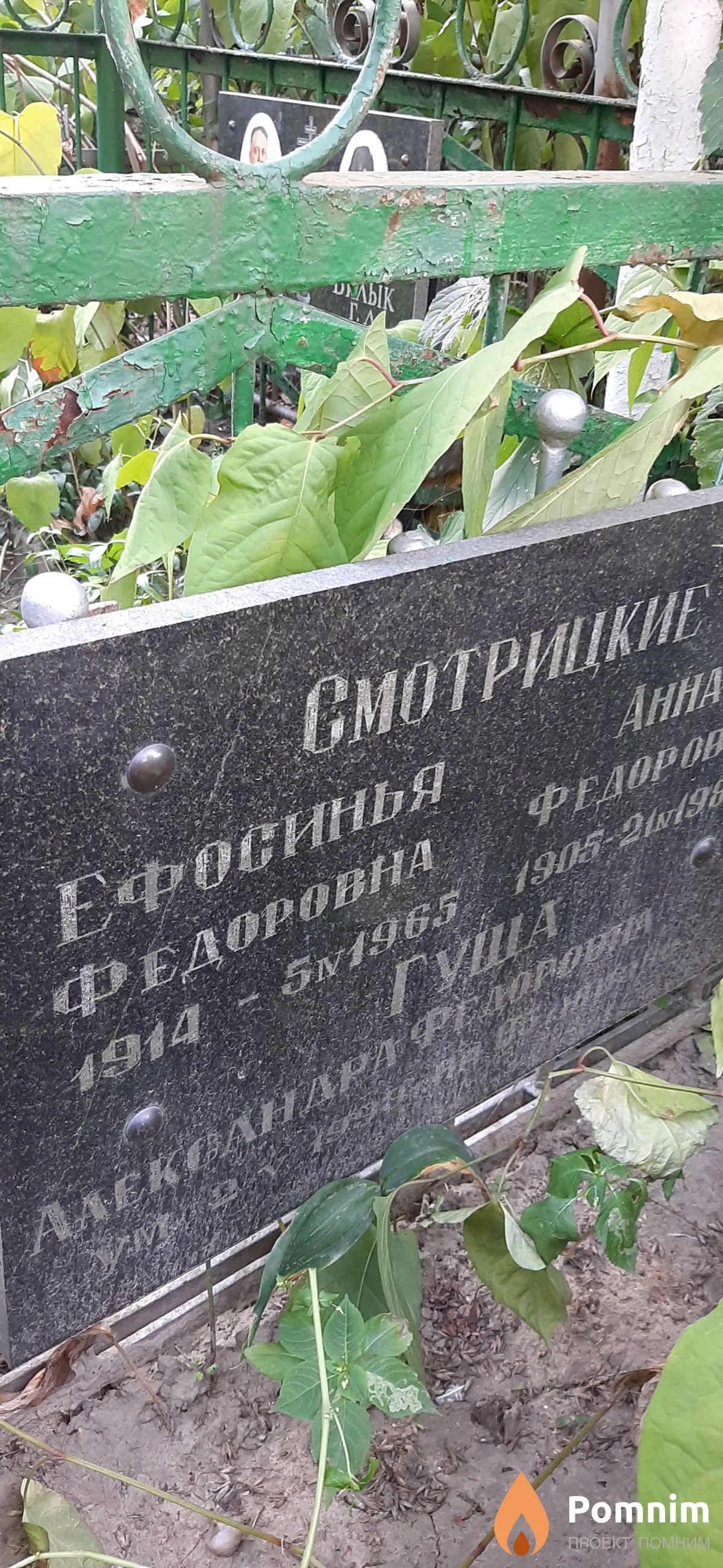 Гуща Александра Федоровна