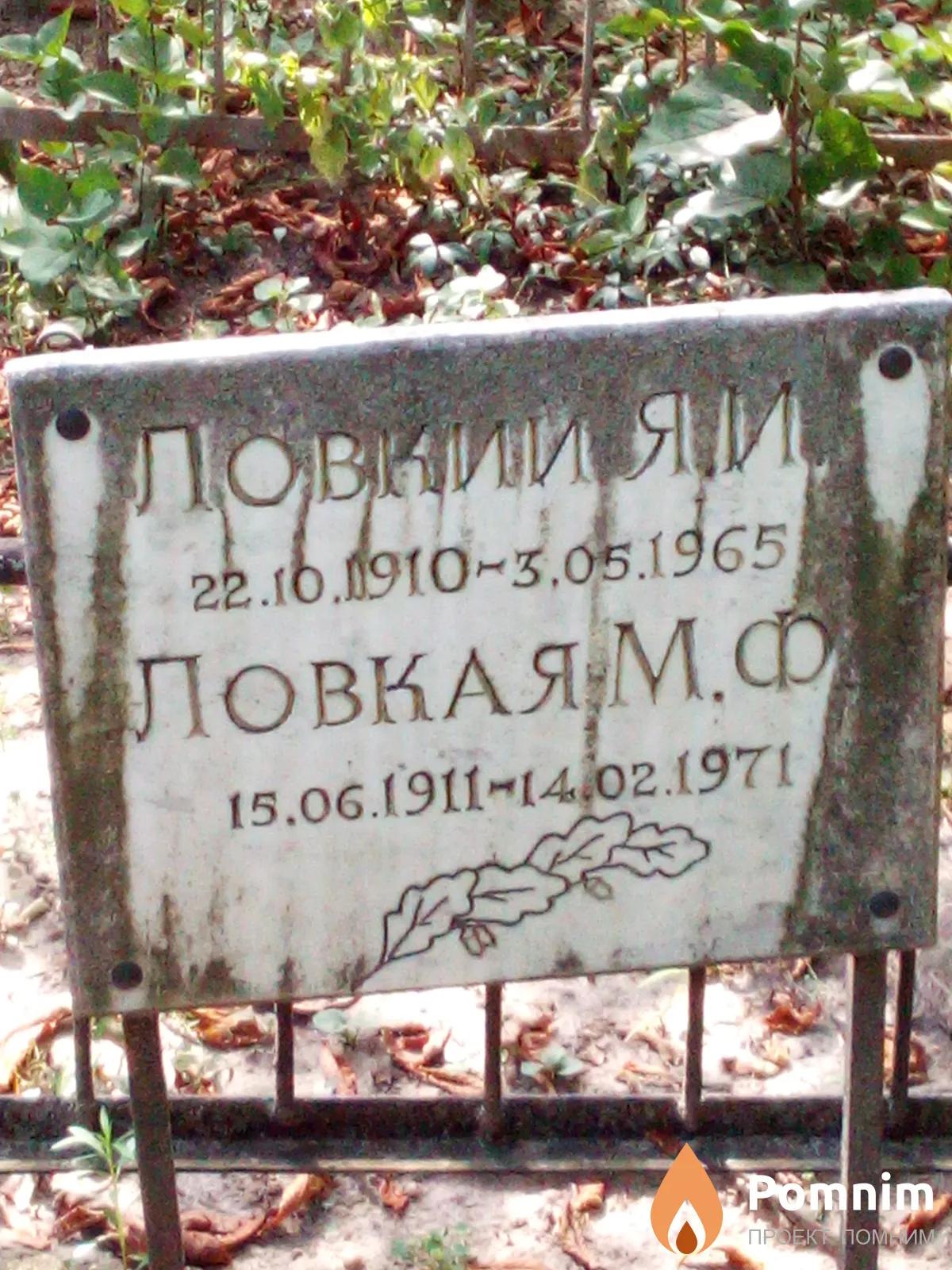 Ловкий Я И