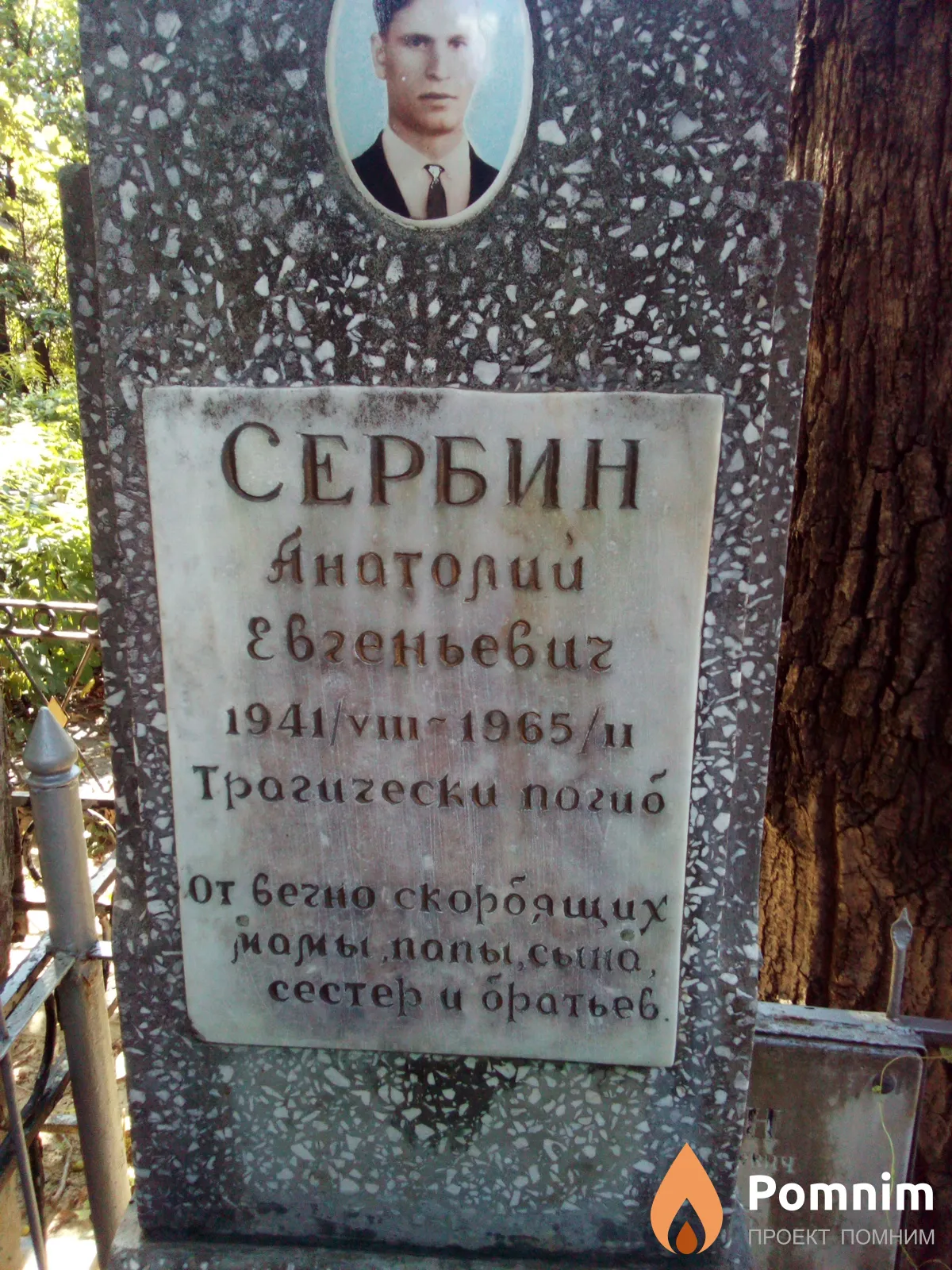 Сербин Анатолий Евгеньевич