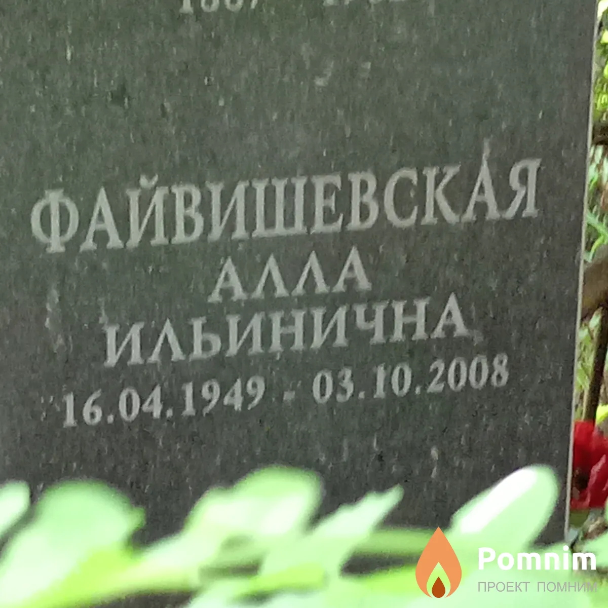 Файвишевская Αлла Ильинична