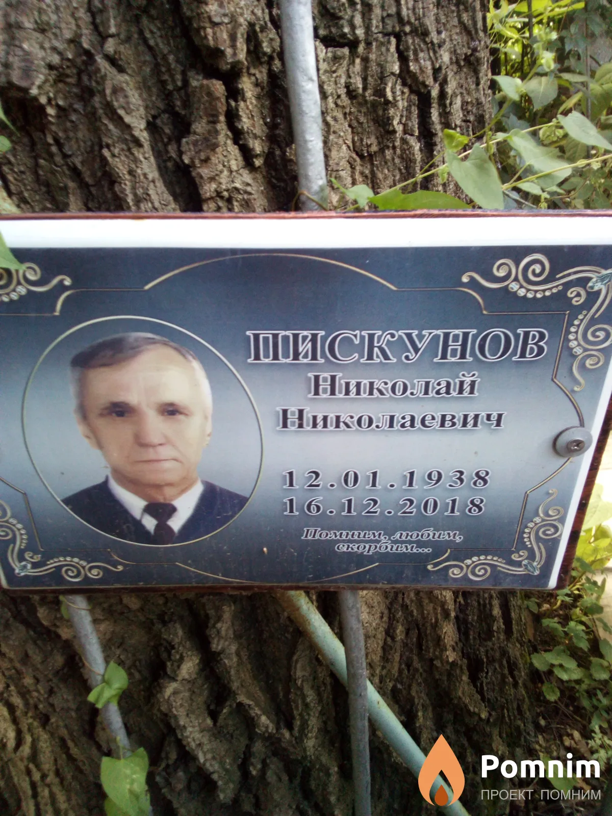 Пискунов Николай Николаевич
