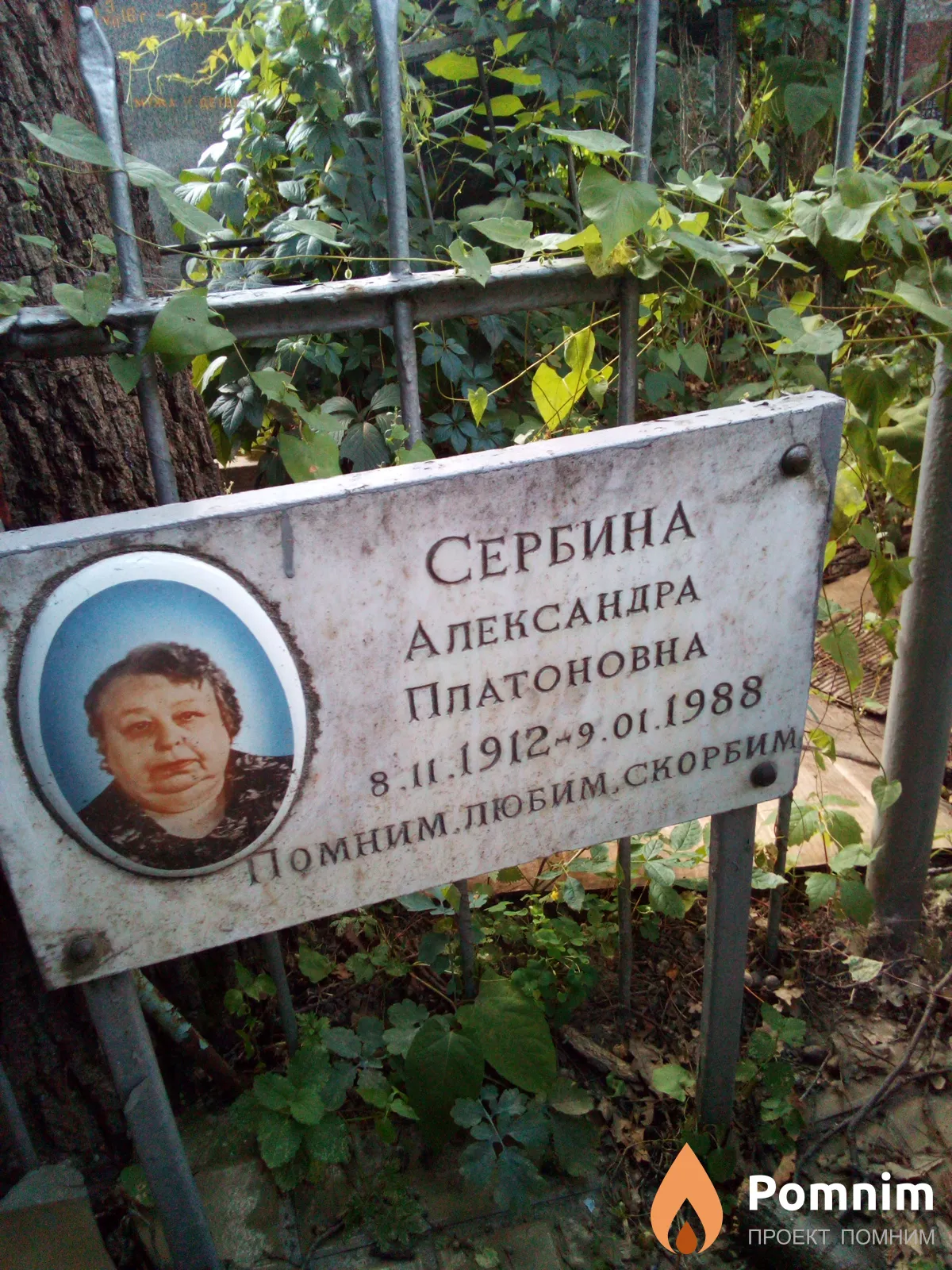 Сербина Александра Платоновна
