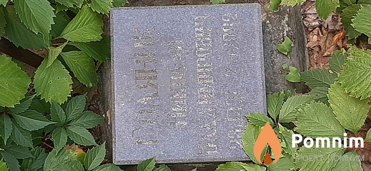 Голяник Николай Владимирович