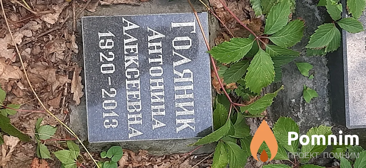 Голяник Антонина Алексеевна