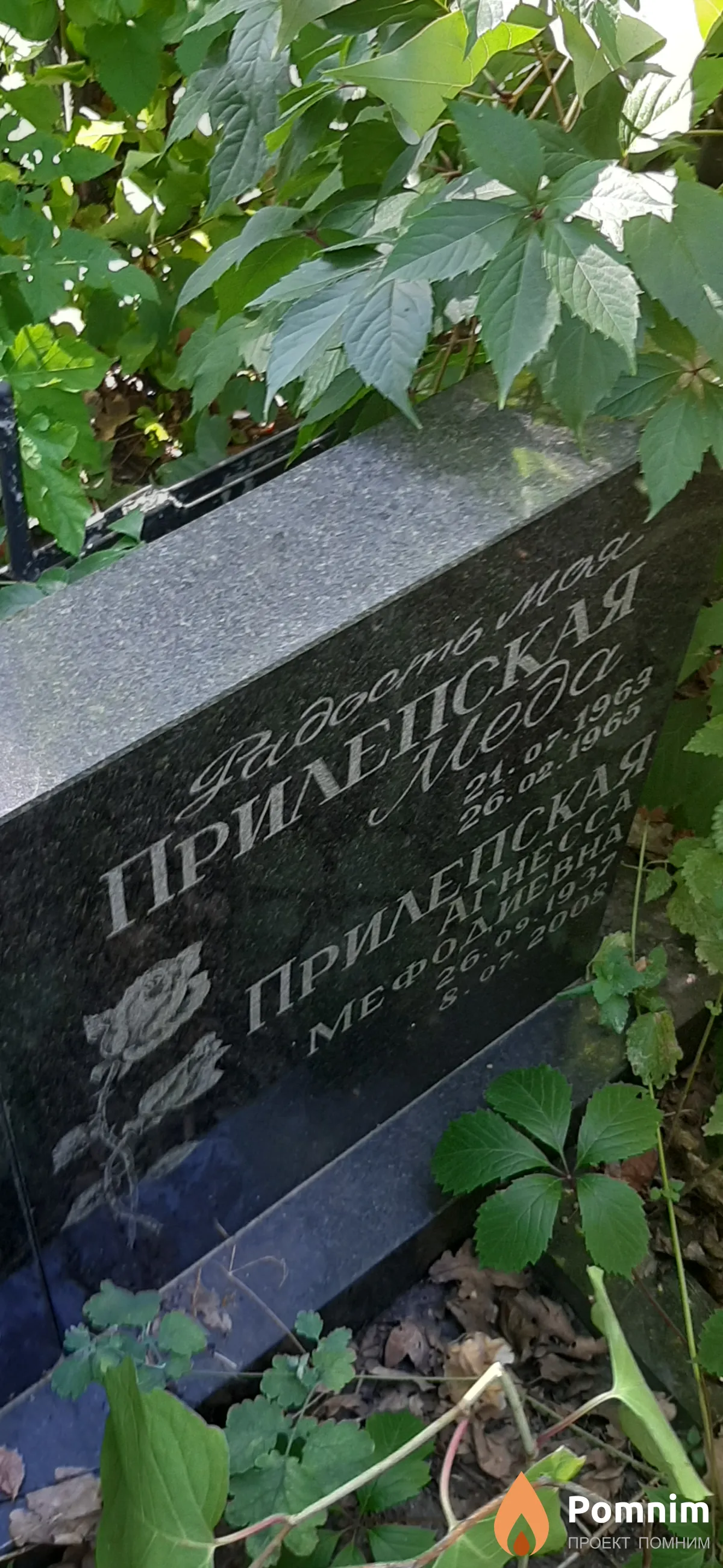 Прилепская Меда