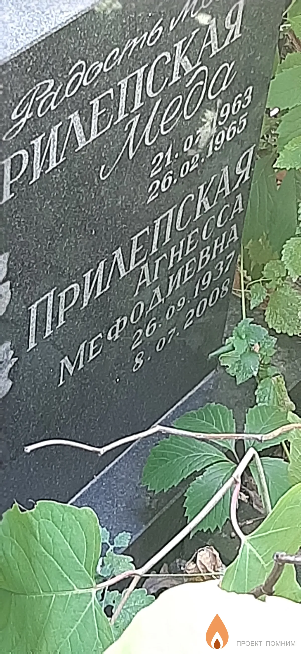 Прилепская Агнесса Мефодиевна