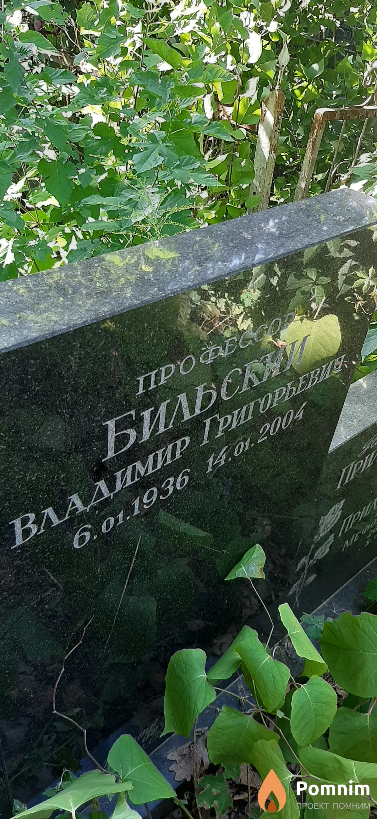 Бильский Владимир Григорьеыич