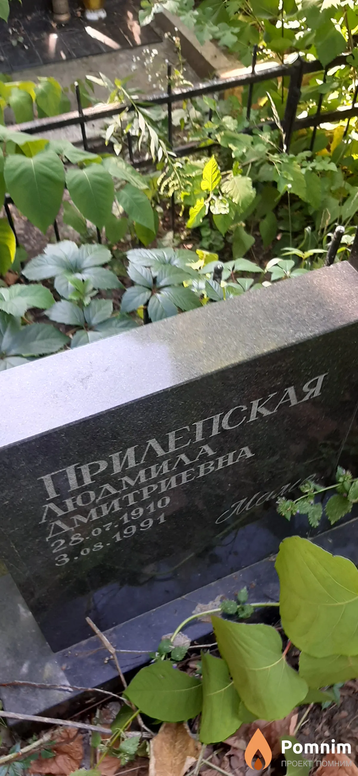 Прилепская Людмила Дмитриевна