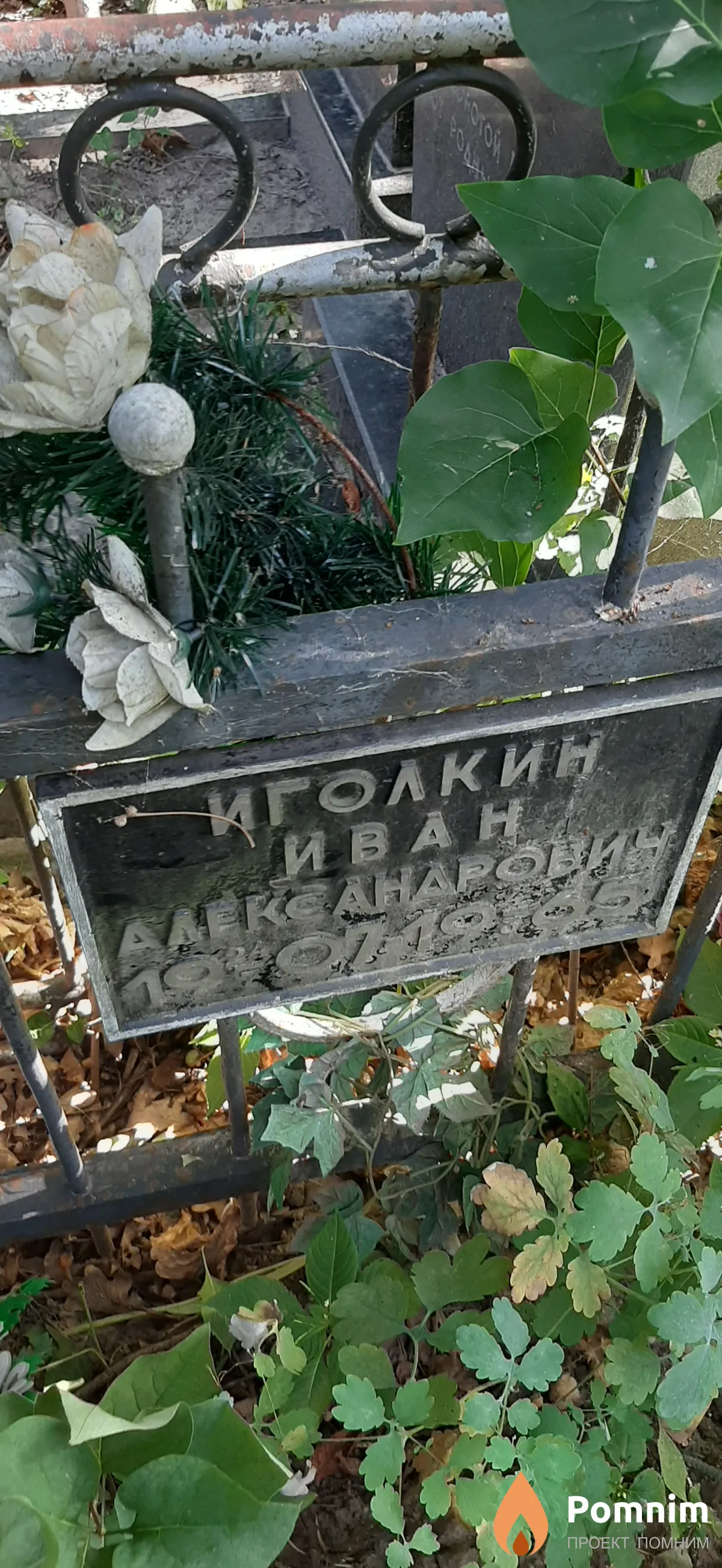 Иголкин Иван Александрович