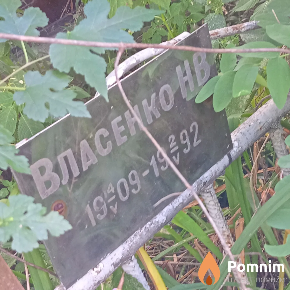 Власенко Н В