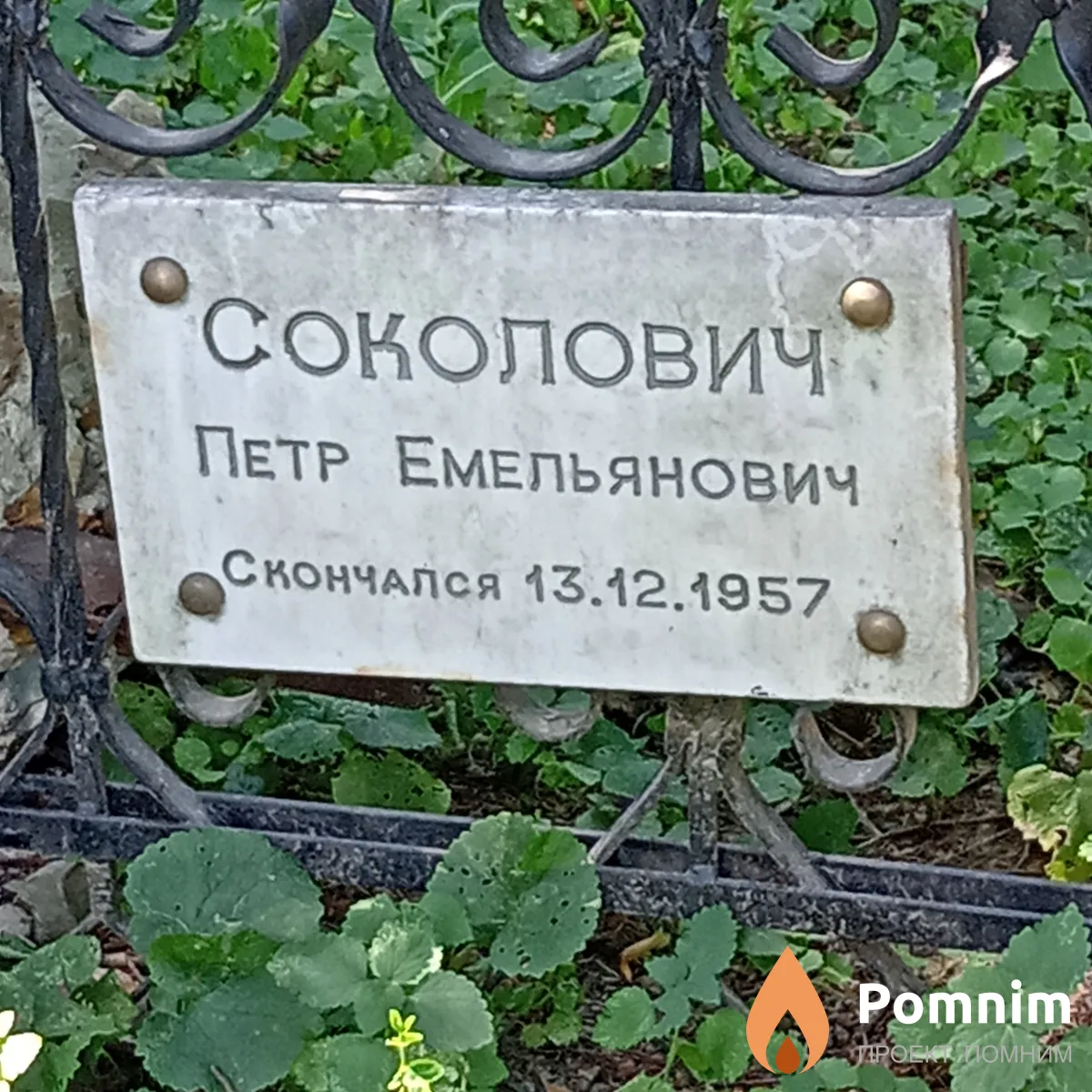 Соколович Петр Емельянович