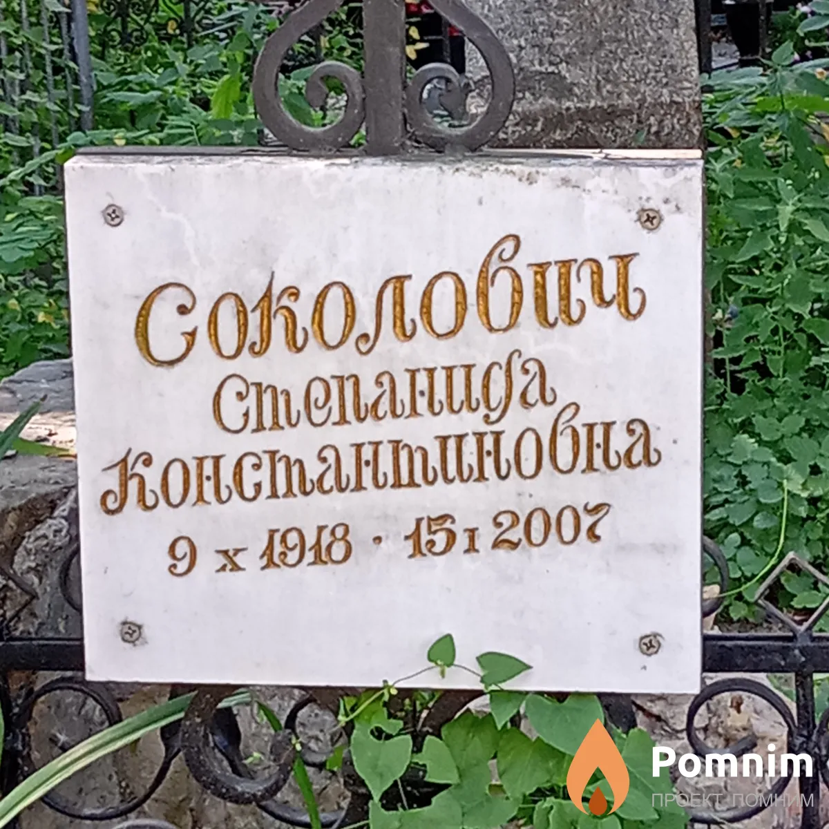 Соколович Степанида Константиновна