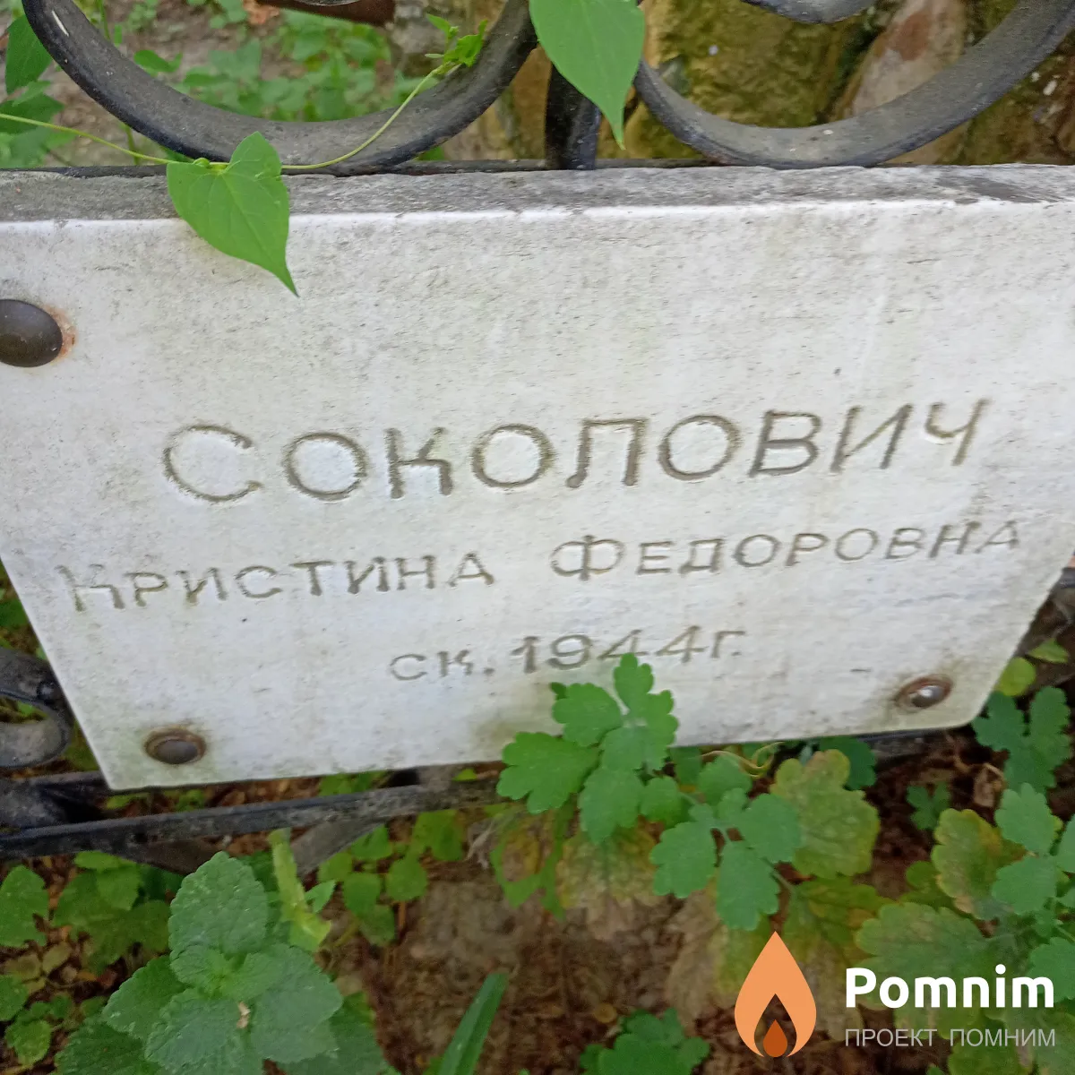 Соколович Кристина Федоровна