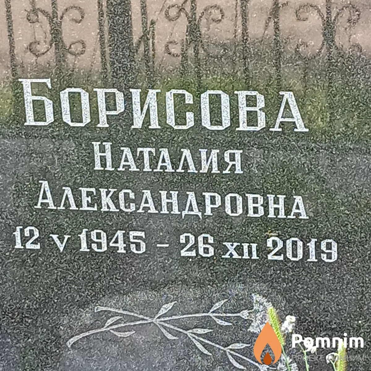 Борисова Наталия Александровна