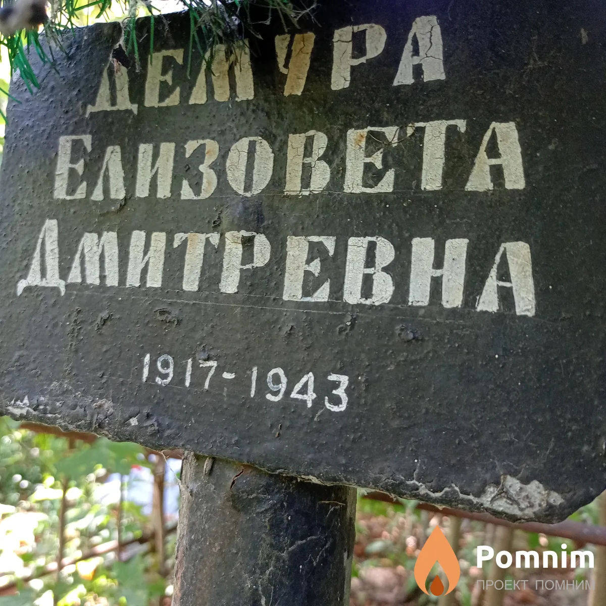 Демура Елизавета Дмитриевна