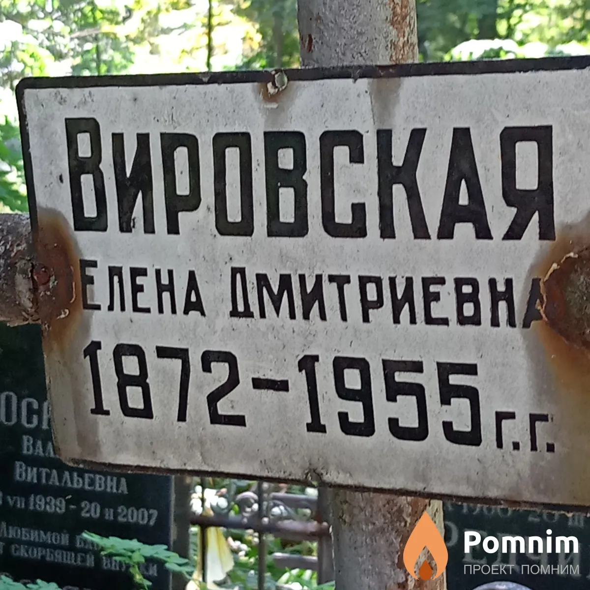 Вировская Елена Дмитриевна