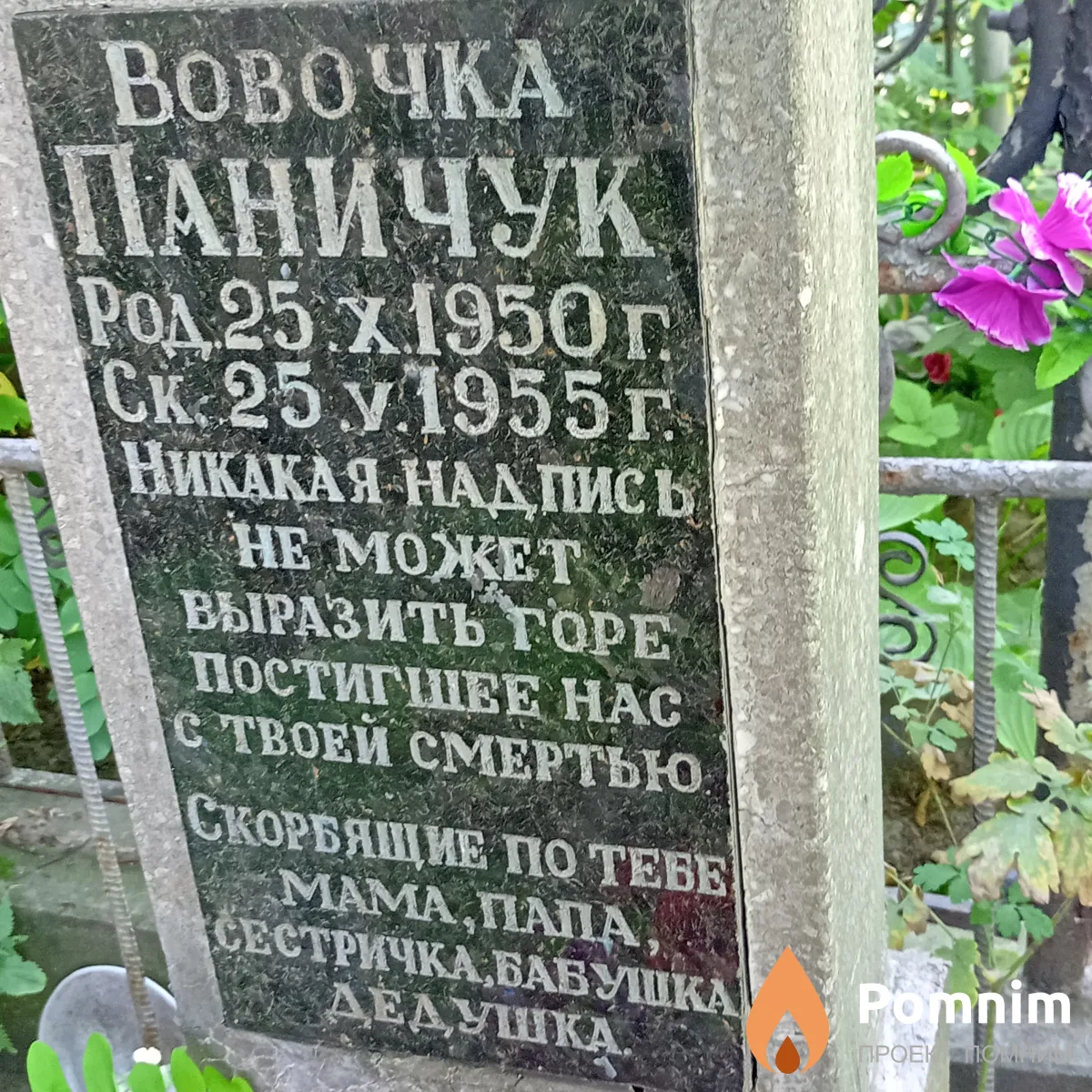 Паничук Владимир