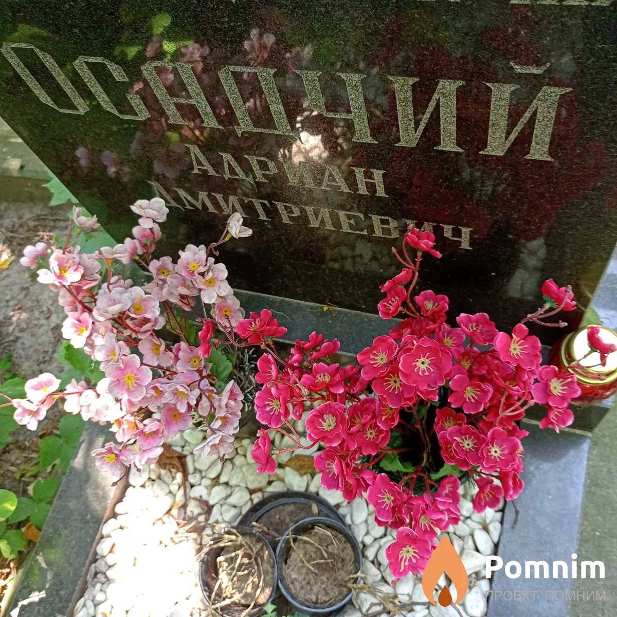 Осадчий Андриан Дмитриевич