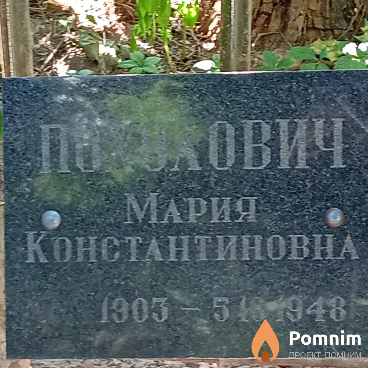Похоловия Мария Константиновна