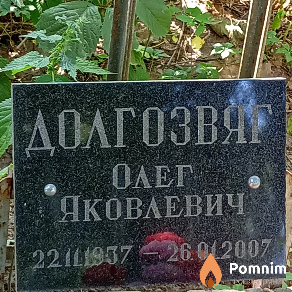 Долгозвяг Олег Яковлевич