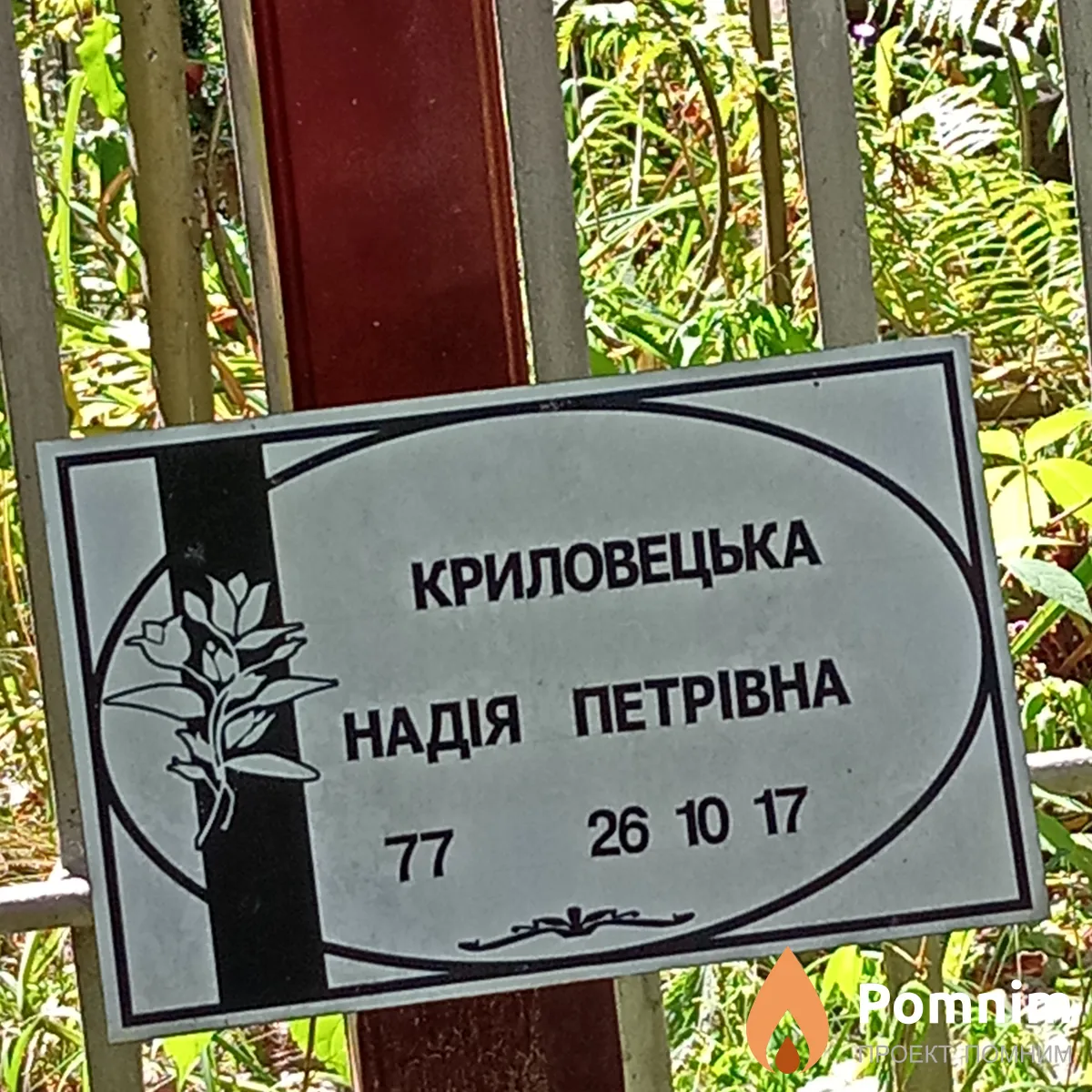 Криловецька Надія Петрівна