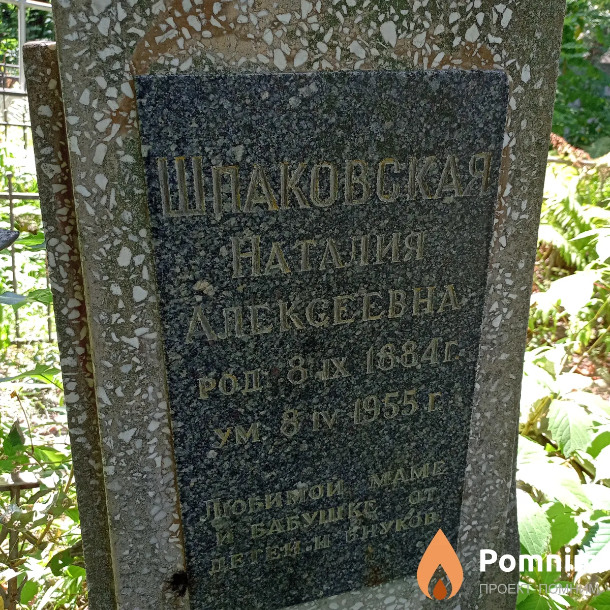 Шпаковская Наталия Алексеевна
