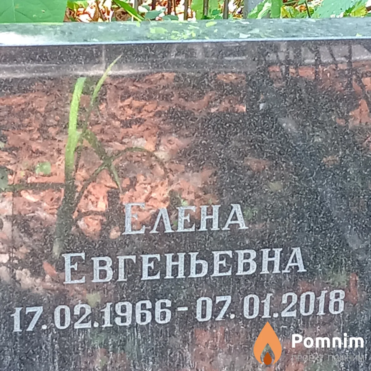 Буторина Елена Евгеньевна
