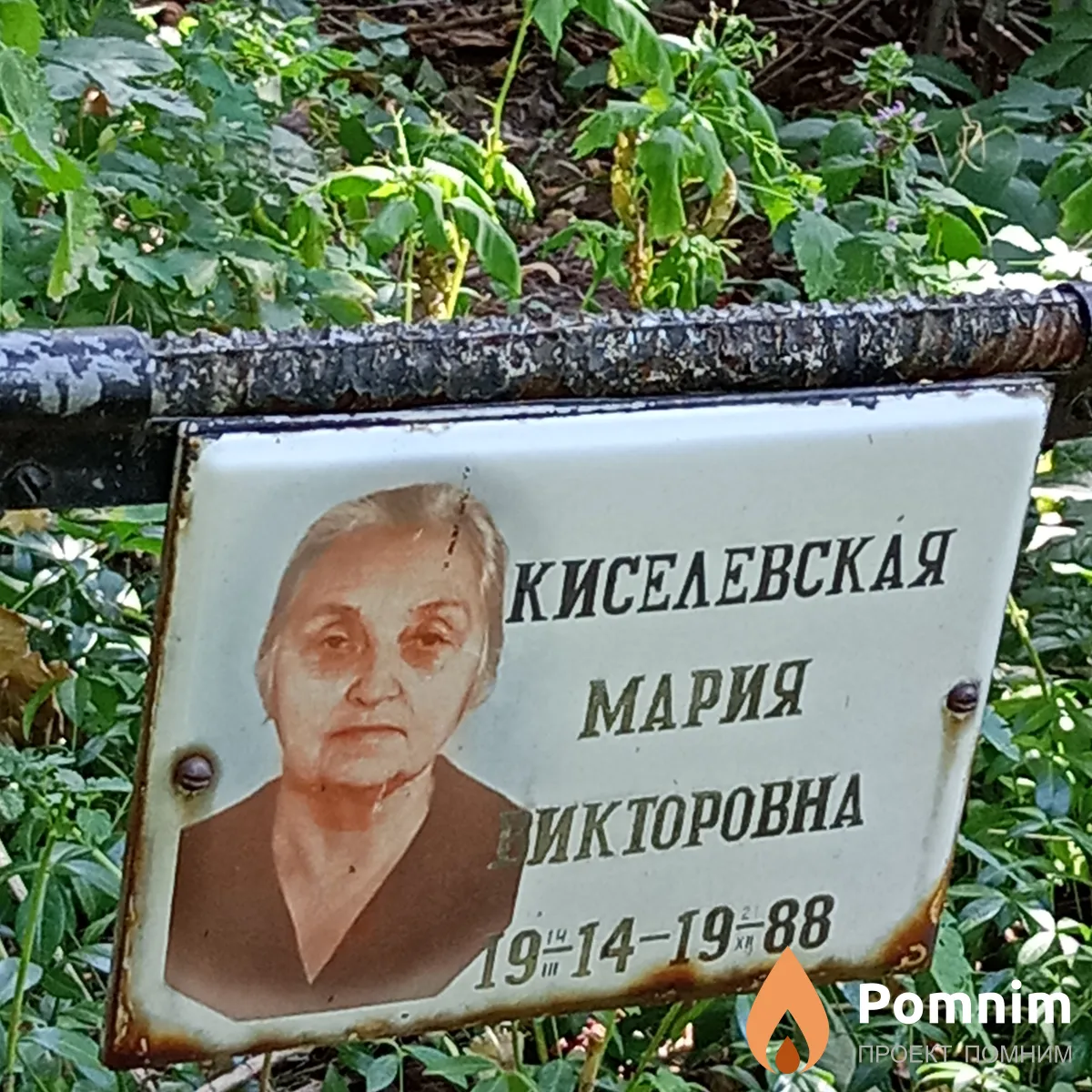 Киселевская Мария Викторовна